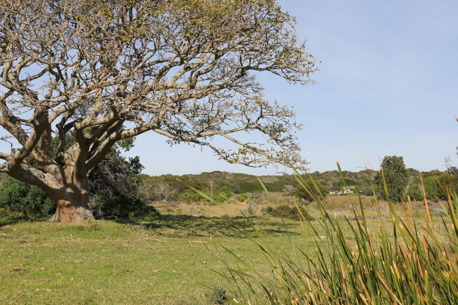 0 Bedroom Property for Sale in Kromme River Estate Eastern Cape